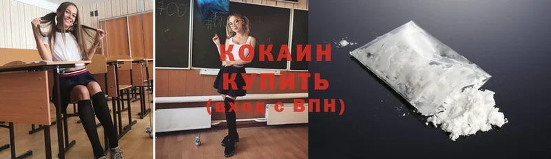 Cocaine FishScale  купить  цена  Бокситогорск 